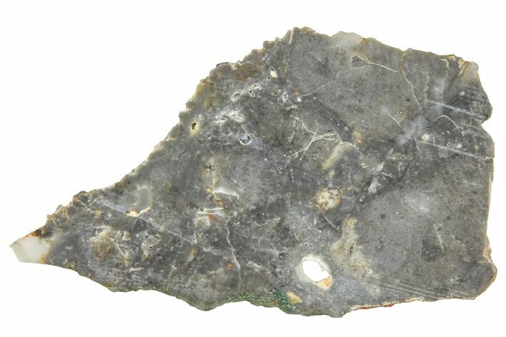 NWA Lunar Meteorite ( g) Slice #360596
